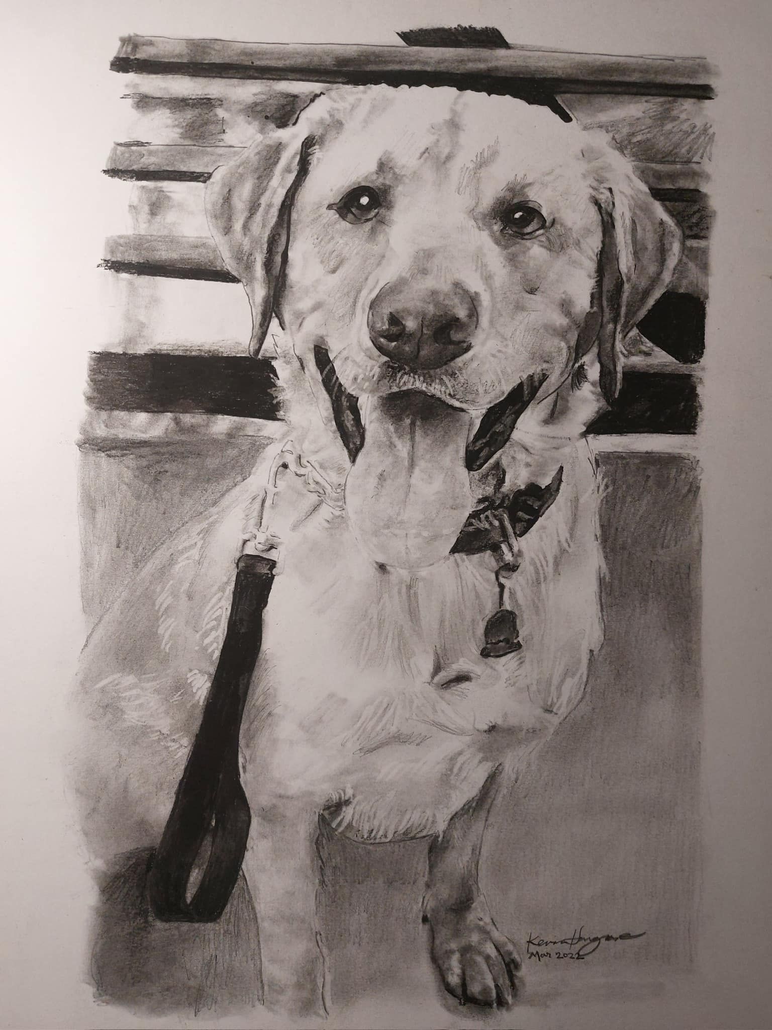 Kevin L. Hargrave Pet Portrait Artist