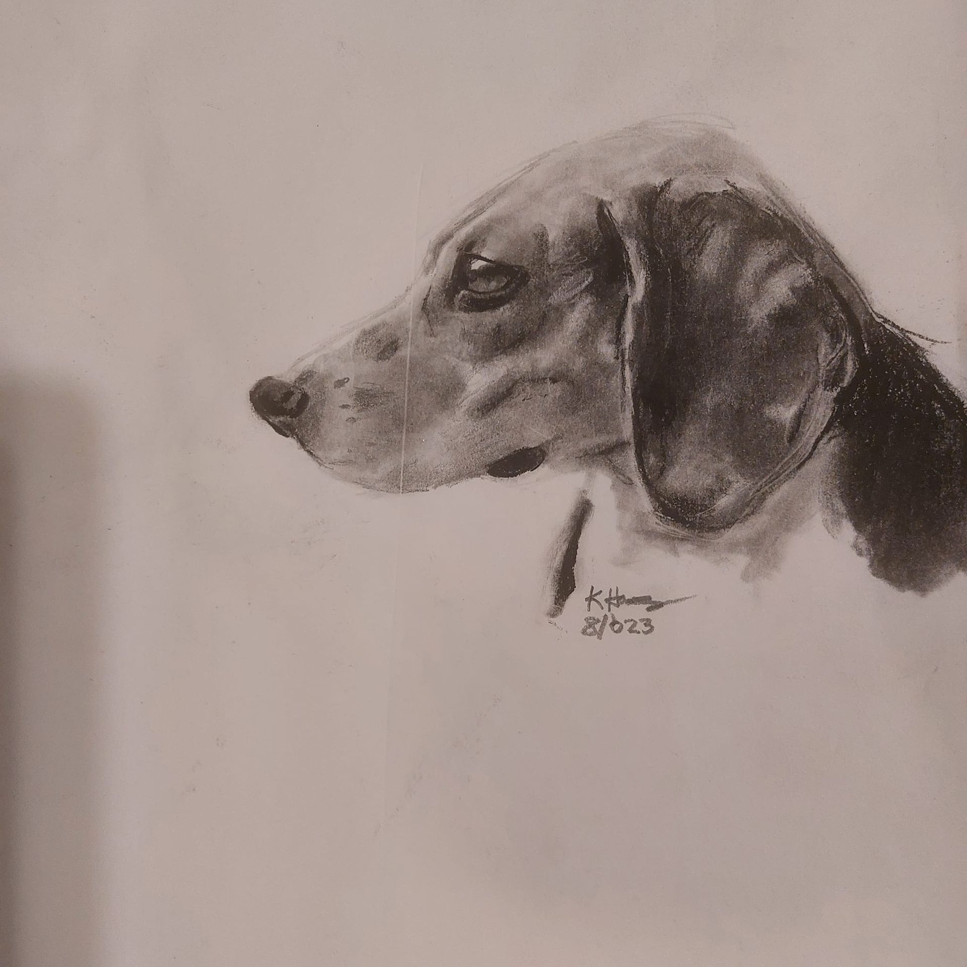 Kevin L. Hargrave Pet Portrait Artist