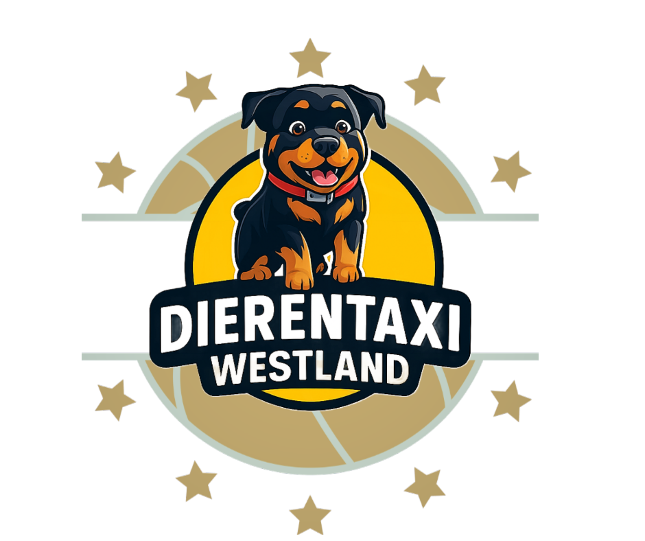 Dierentaxi Westland : Huisdieren vervoer in Zuid Holland