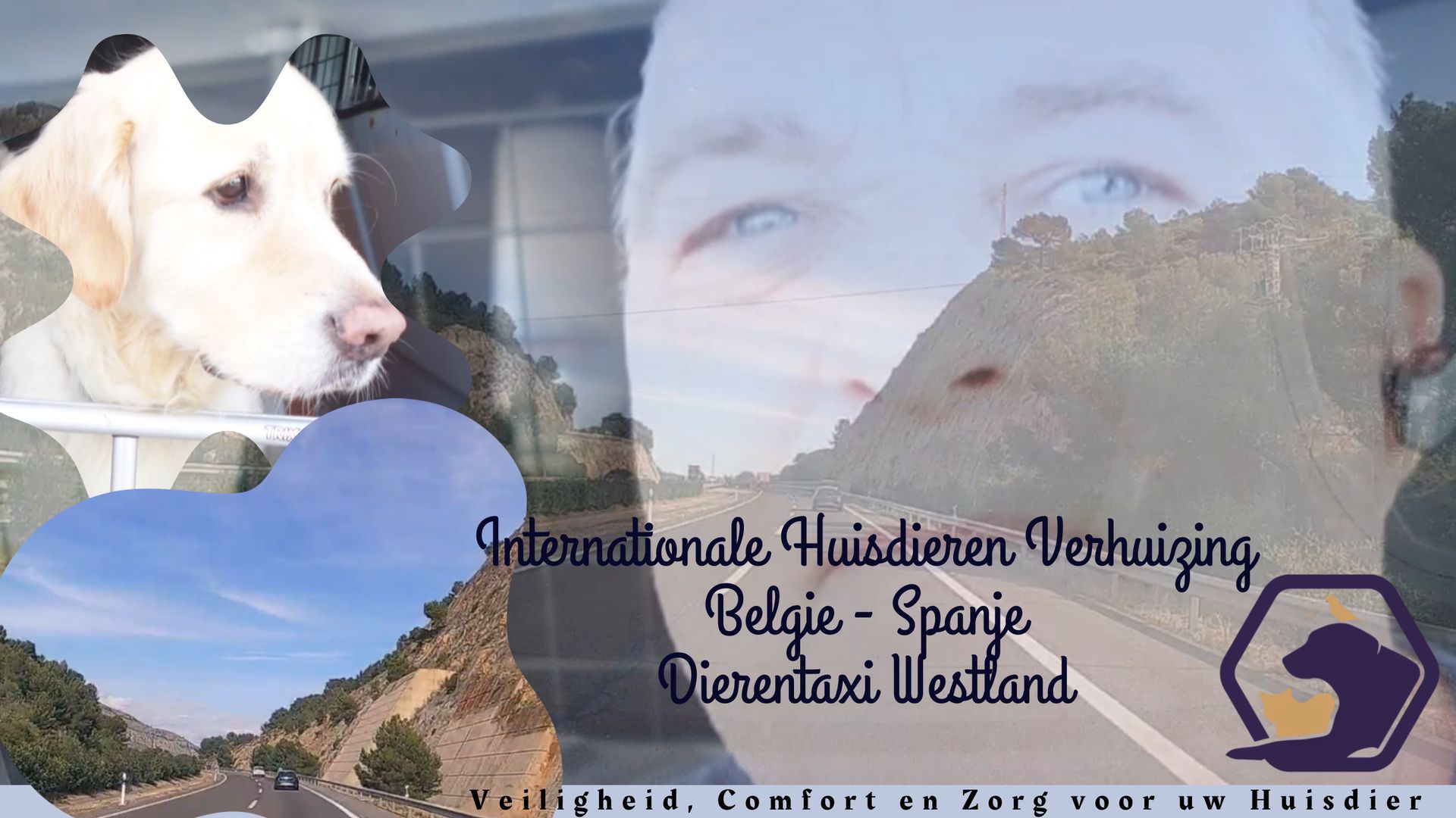 Internationale Huisdieren Verhuizing Belgie - Spanje / Vlog #1 Dierentaxi Westland - Pet Transport