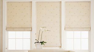 Blinds and shutters