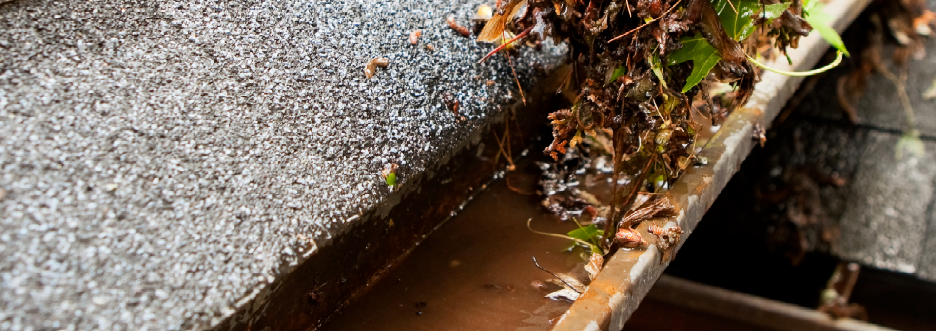 gutter cleaning stirling