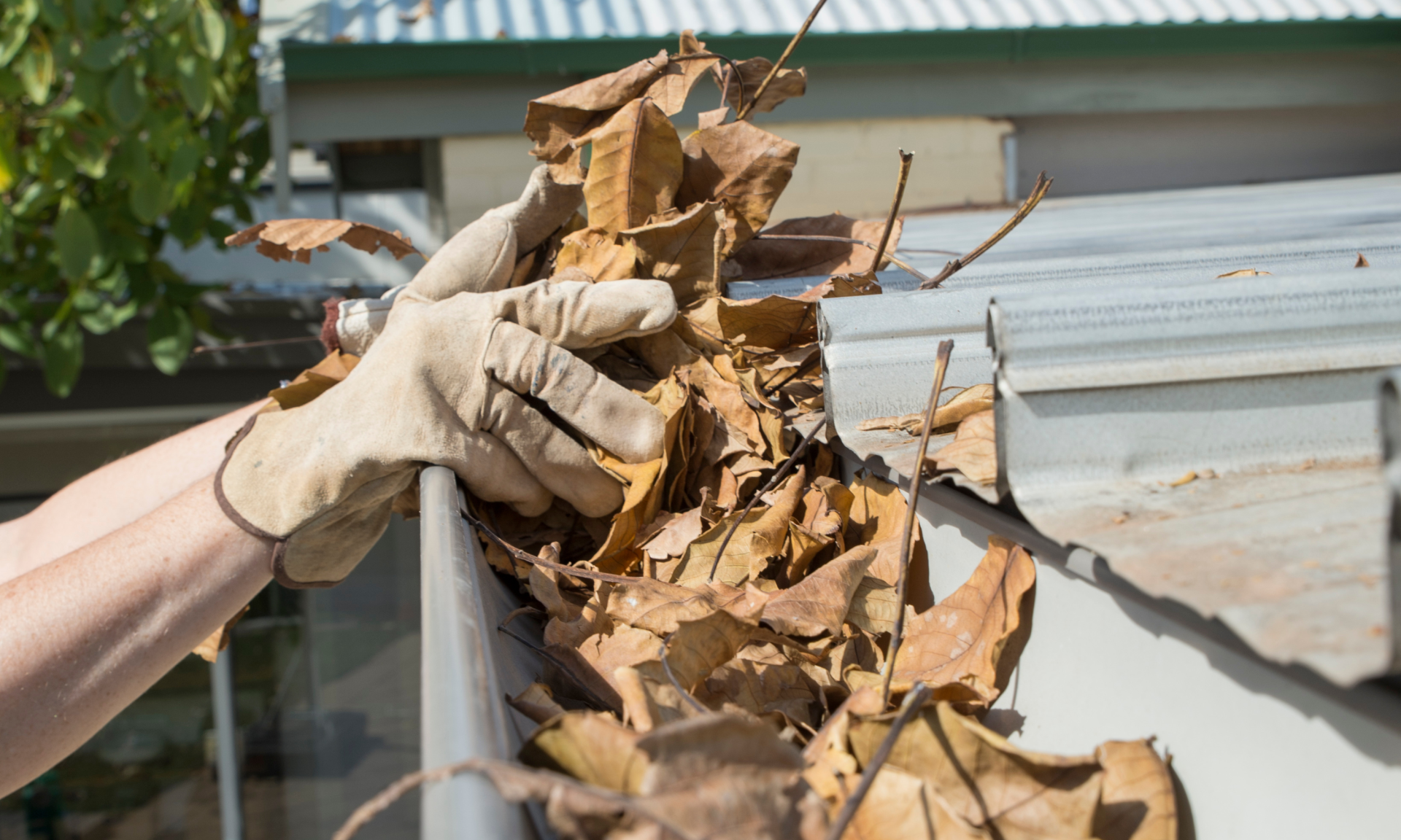 Gutter Cleaning Services in Lago Vista TX