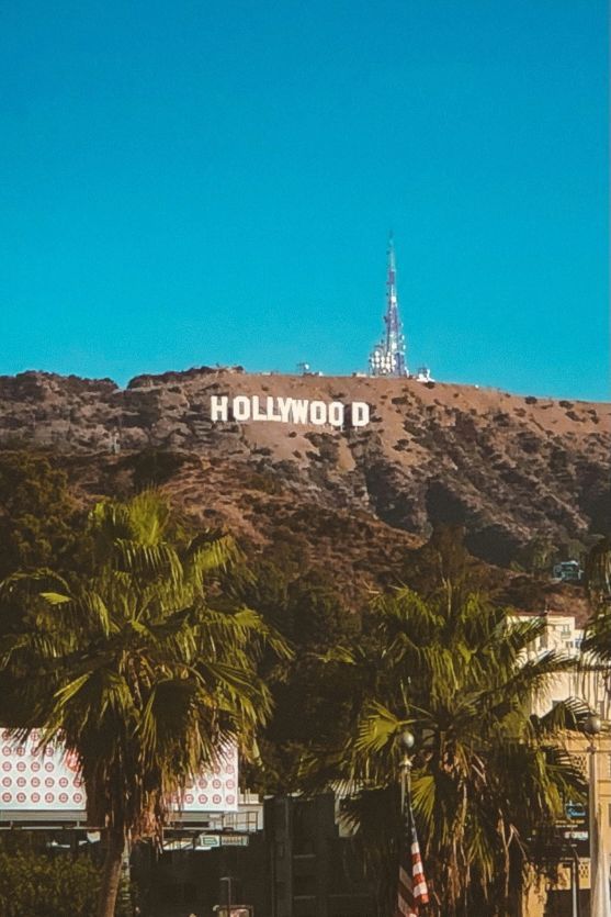 Hollywood sign on a brown hillside under a clear blue sky, palm trees in foreground.