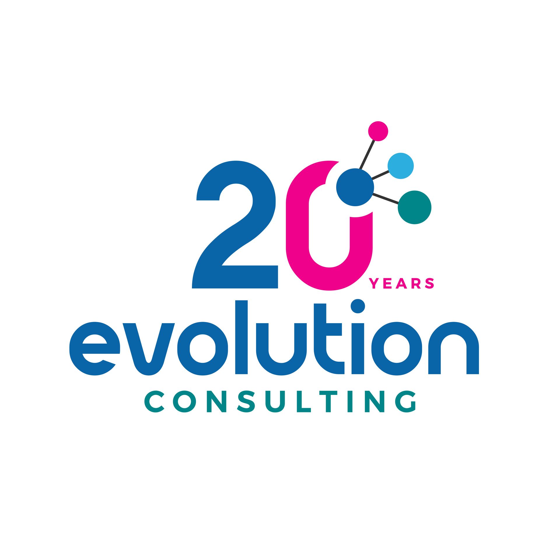 Performance Management Design Executive Coaching Leadership Development Strategy Design and Planning