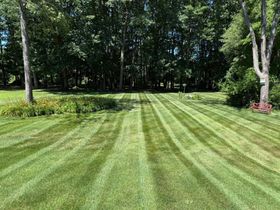 Freshly mowed green lawn with striped patterns beside a wooded tree line
