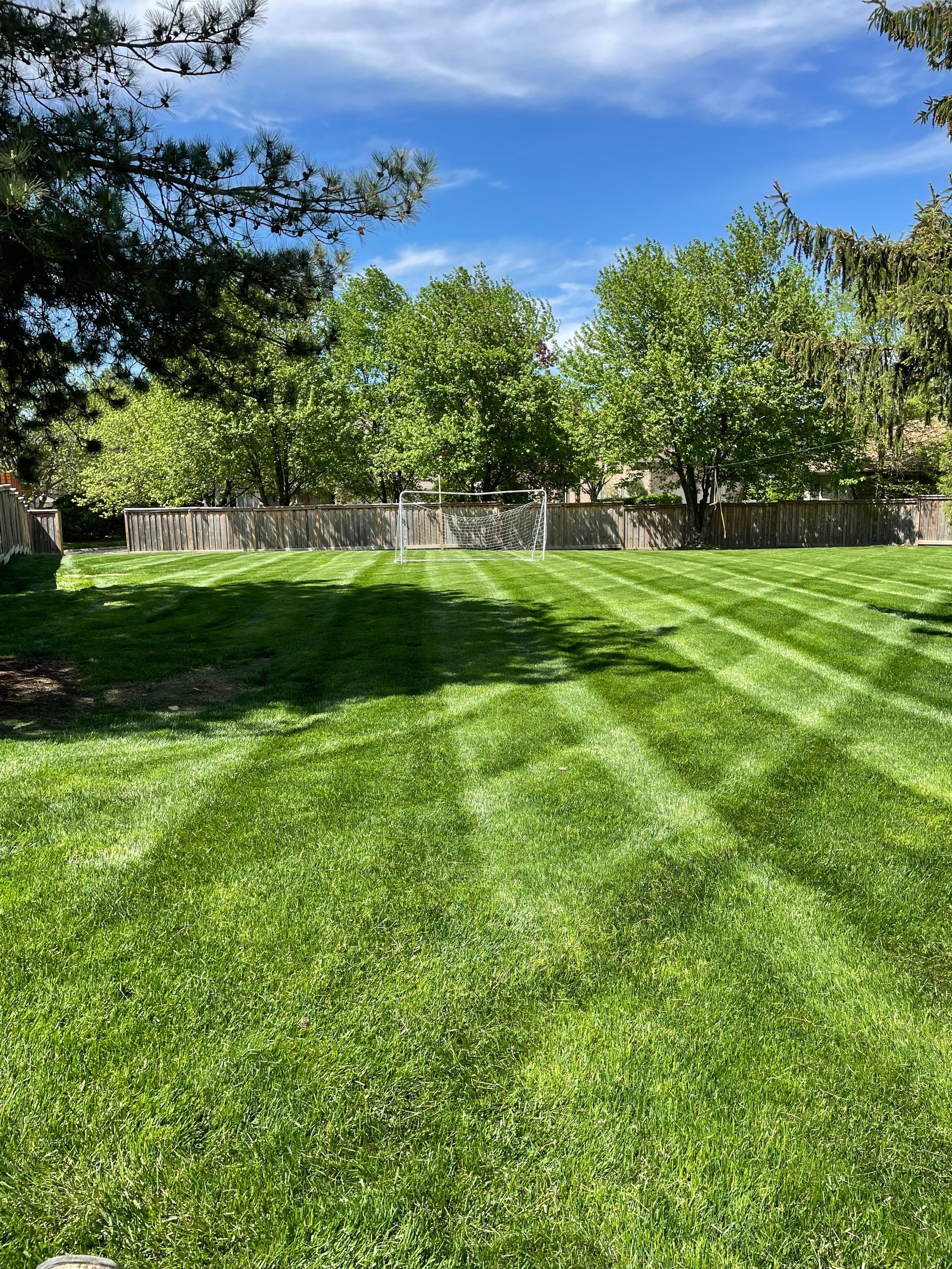 Freshly mowed green lawn with striped patterns beside a wooded tree line