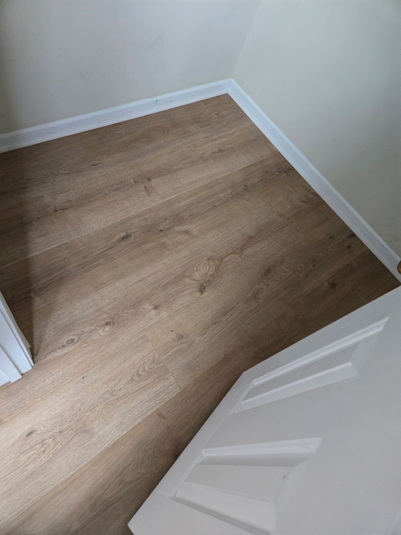 A room with a wooden floor and a white door.