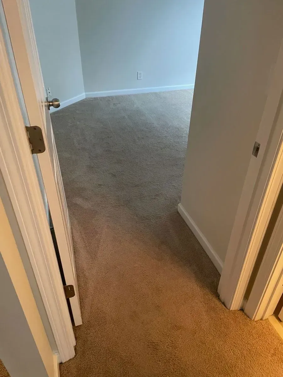 carpenter carpet project middle tn