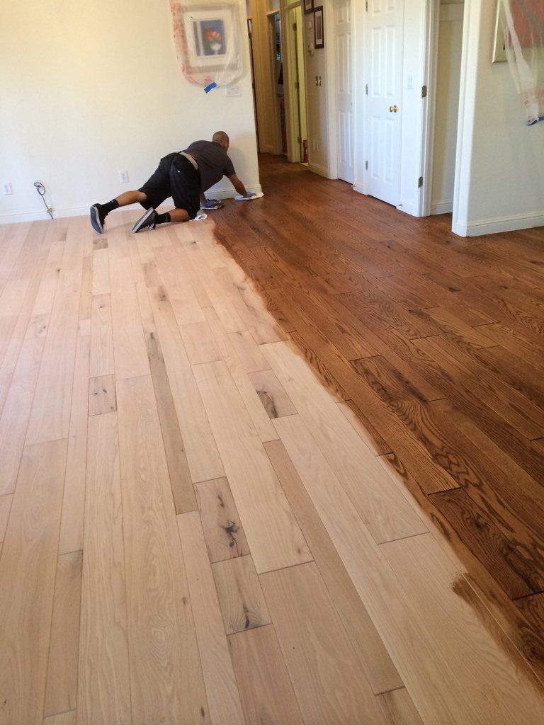 Worker Doing Floor Refinishing