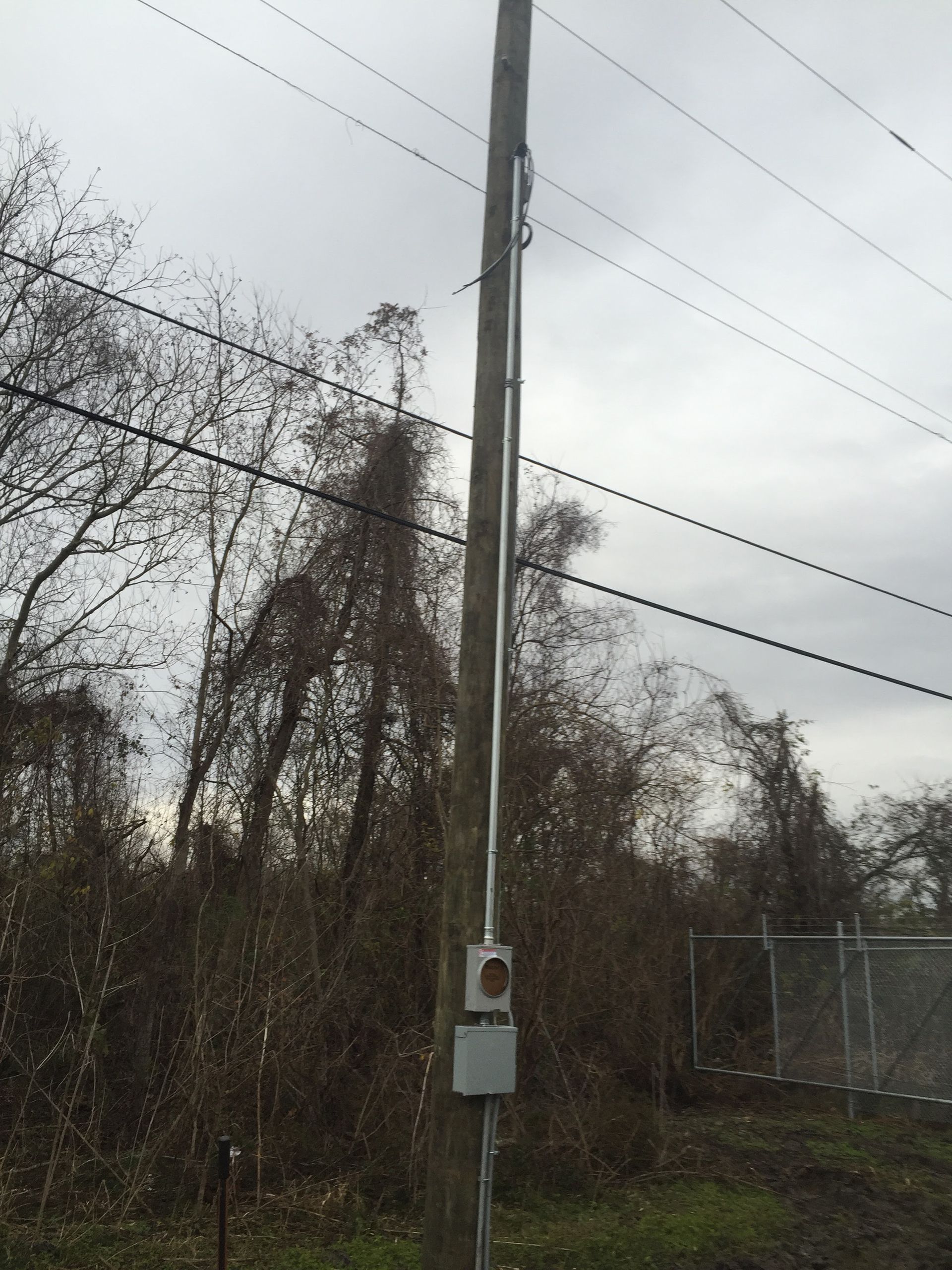 A telephone pole with a box attached to it