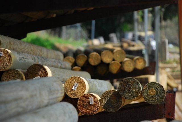 A group of people standing in front of a blue truck.