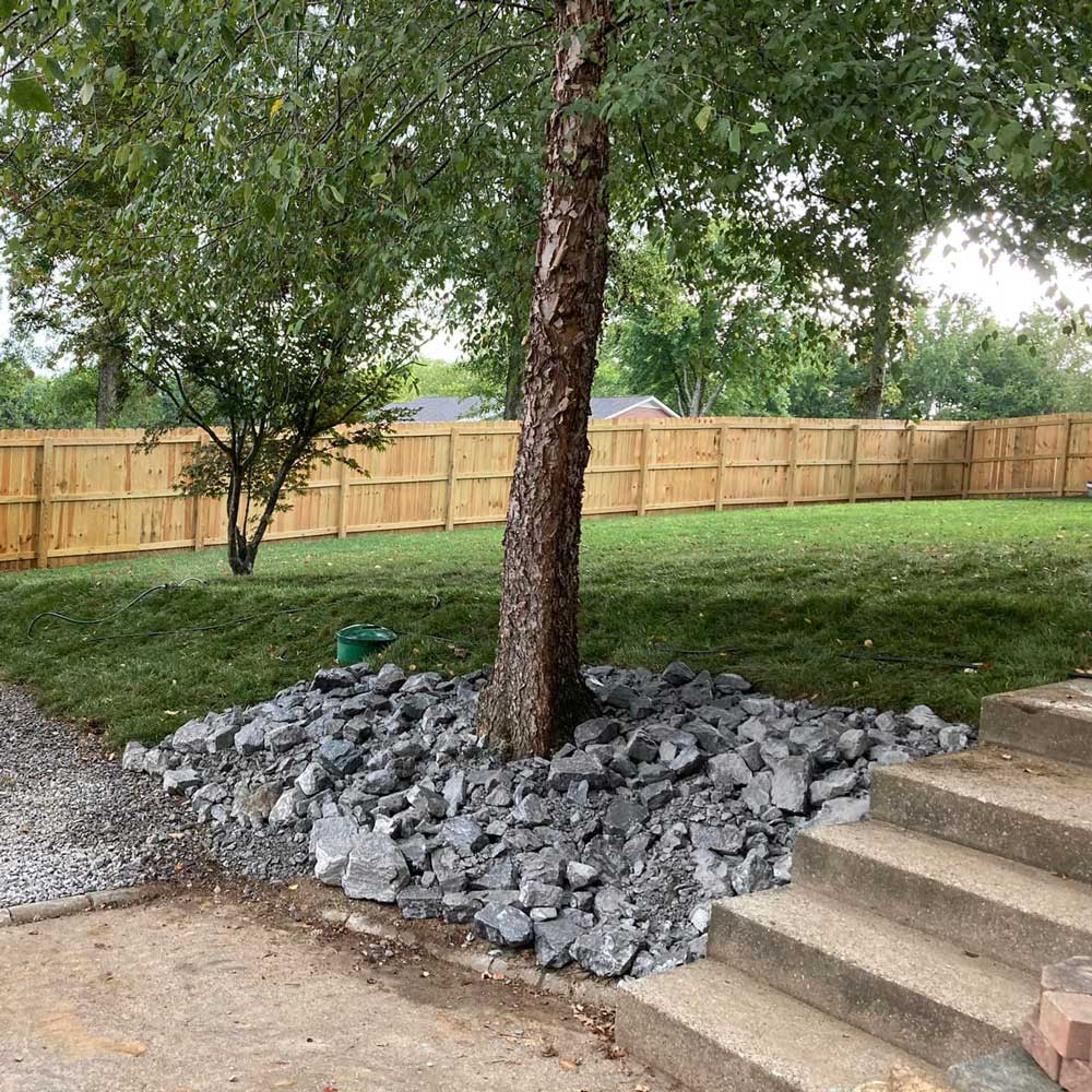 Tree with Rocks — Nashville, TN — Middle Tennessee Drainage Company