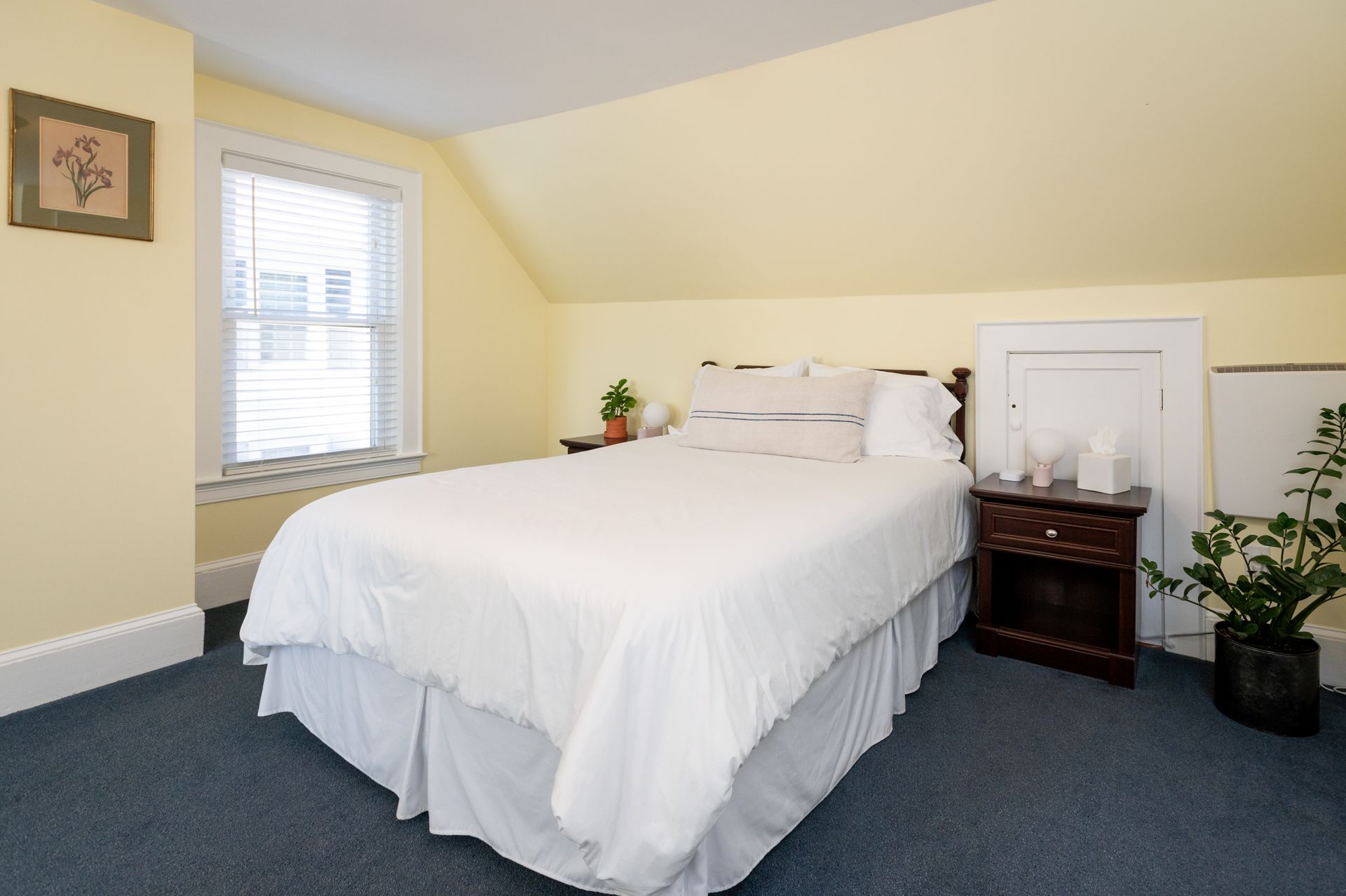 Bedroom with a bed, nightstand, window, and plants. Walls are yellow, carpet is blue.