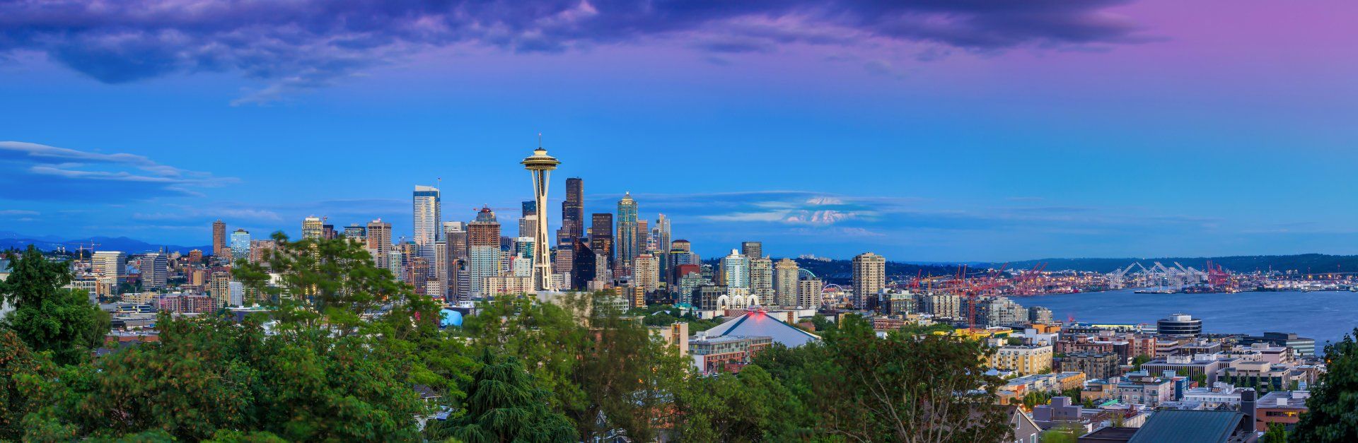 An aerial view of a city skyline with trees in the foreground and a purple sky in the background.