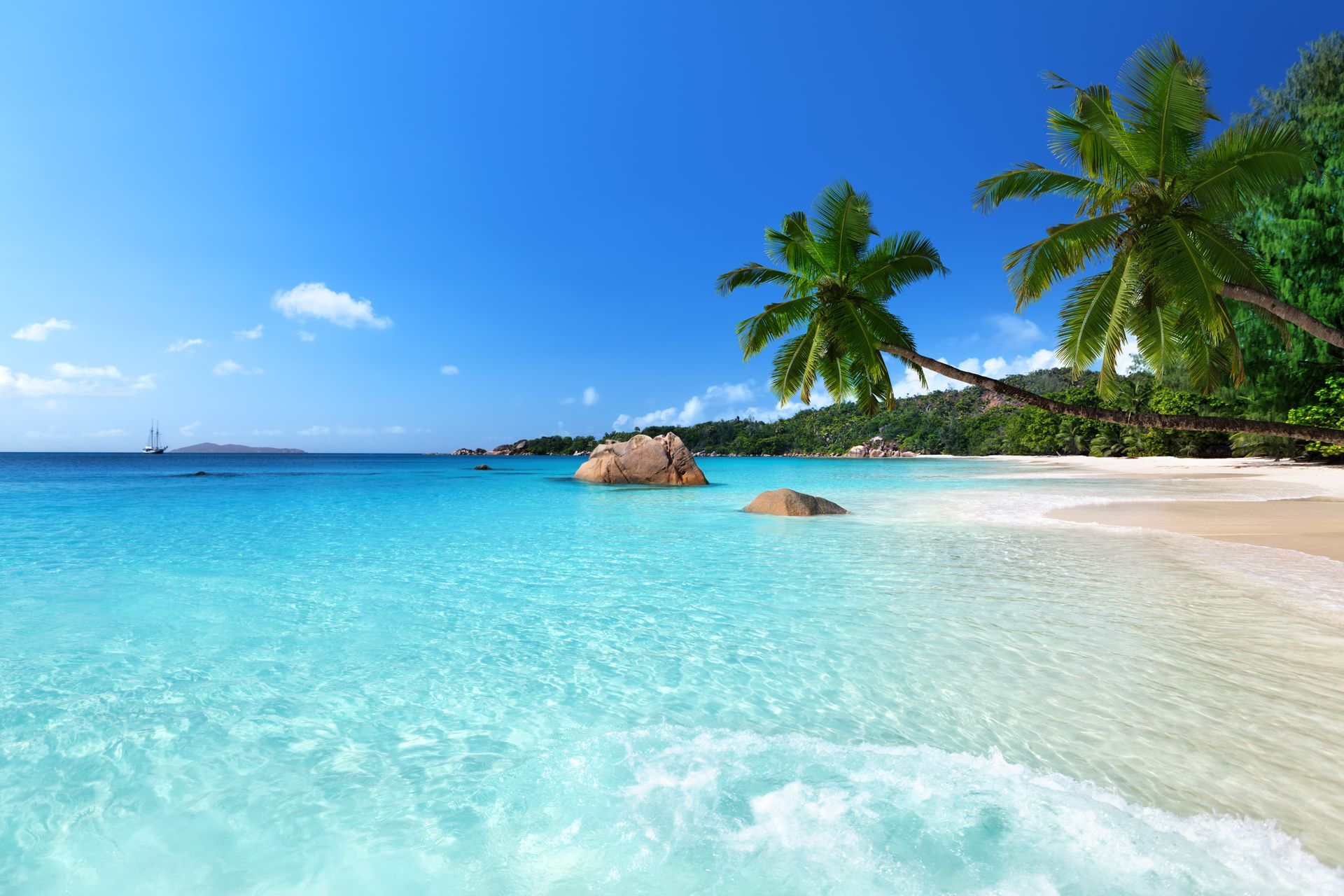 A tropical beach with palm trees and a large rock in the water
