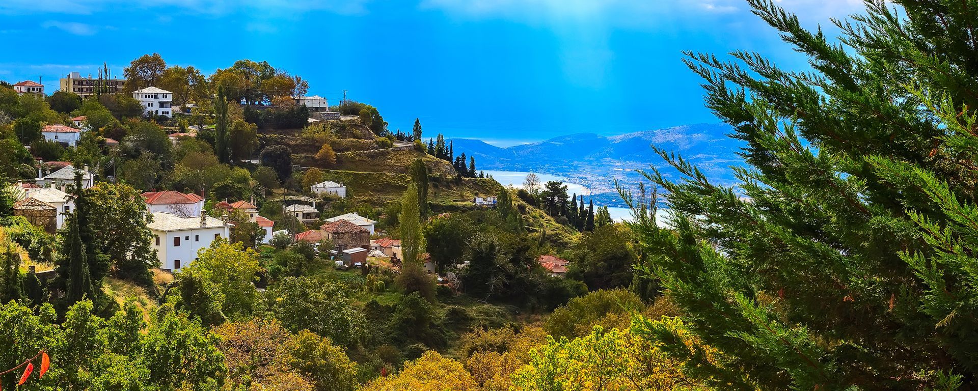 A view of a city from the top of a hill surrounded by trees.