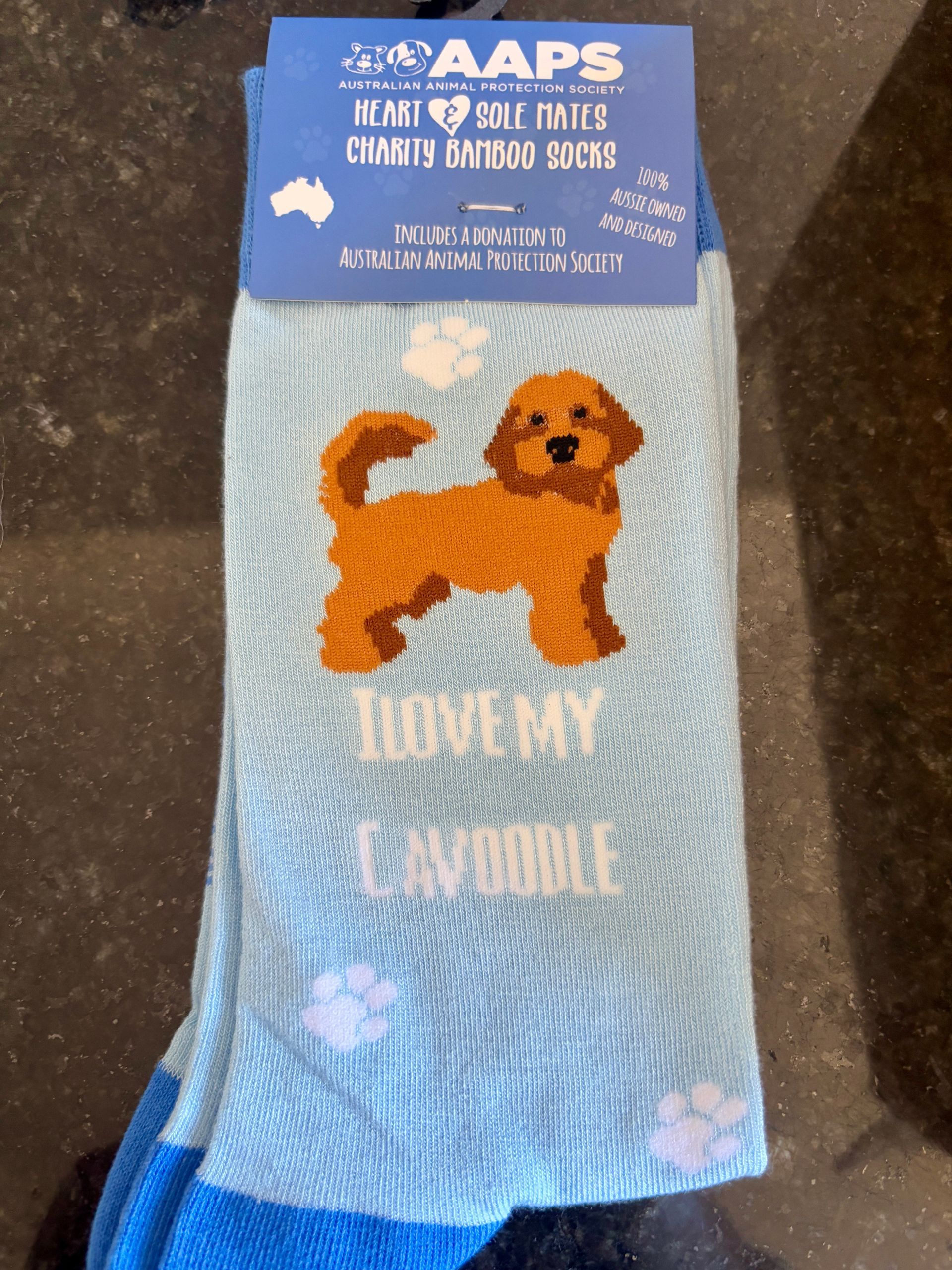 Cavoodle Socks