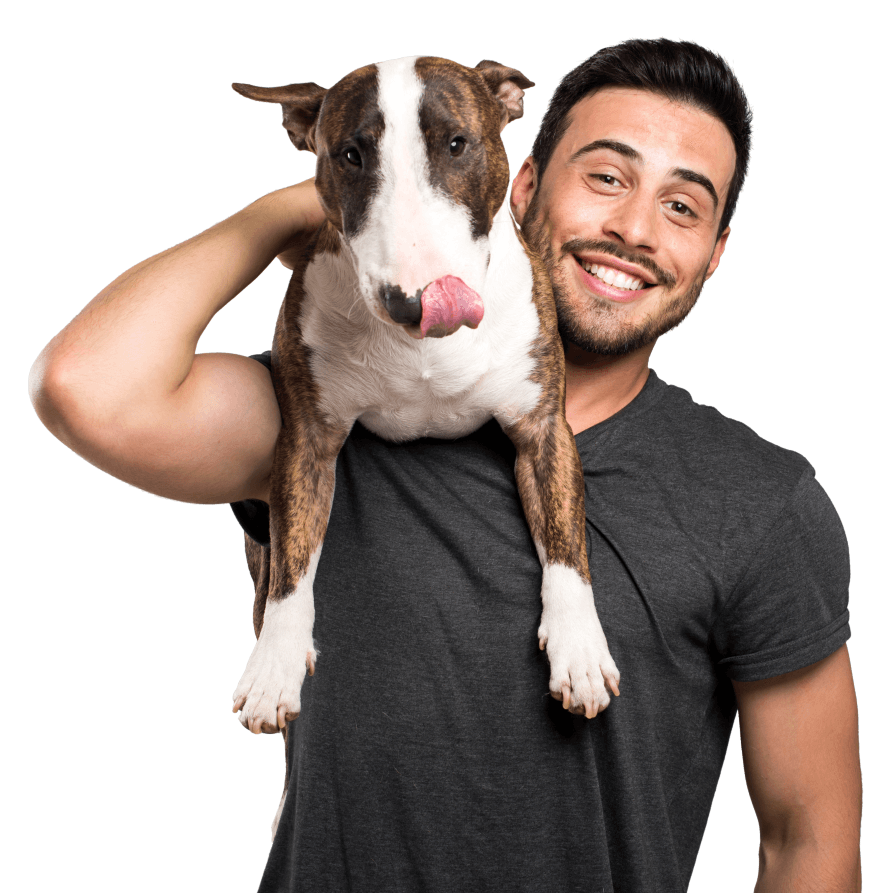 randomdog