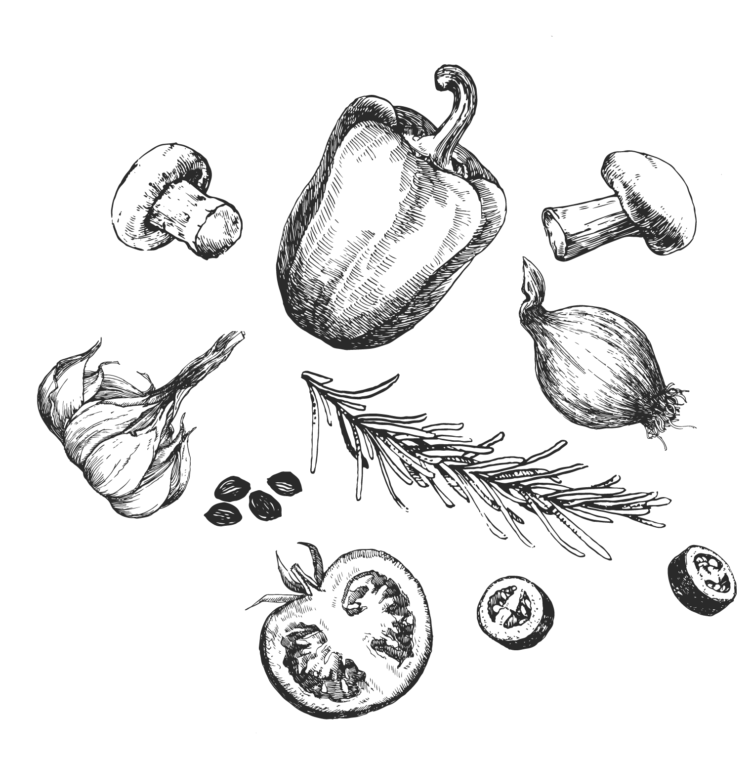 Handgezeichnete Illustration verschiedener Gemüsesorten: Pilze, Paprika, Zwiebeln, Knoblauch, Tomaten, Rosmarin und Samen.