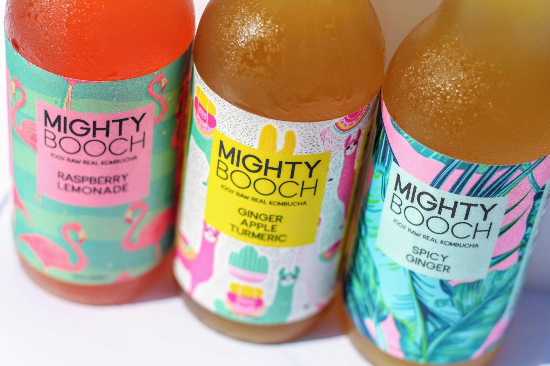 Three bottles of Mighty Booch kombucha: Raspberry Lemonade, Ginger Apple Turmeric, and Spicy Ginger.