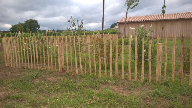 Clôture bois RANCHO, FOREST STYLE, H.80 x l.180 cm