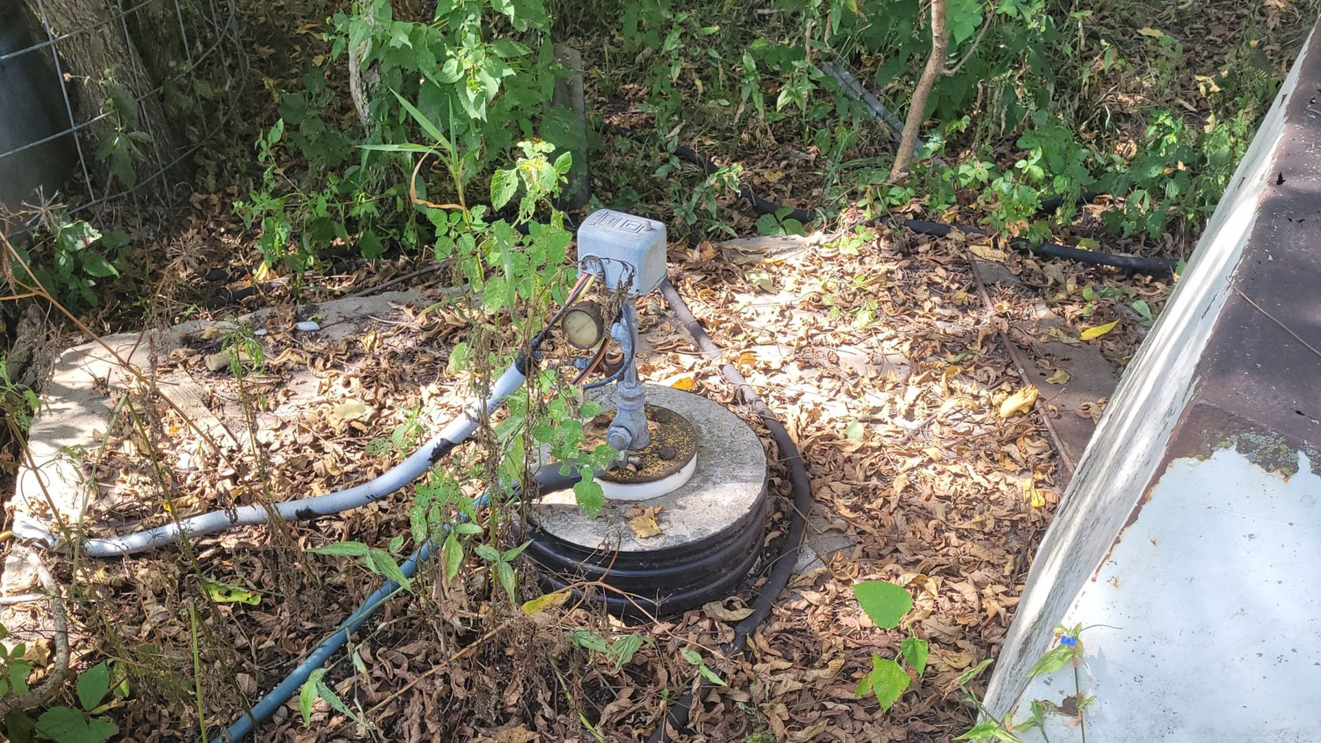 A concrete well, electrical box, and pipes, surrounded by leaves and vegetation.