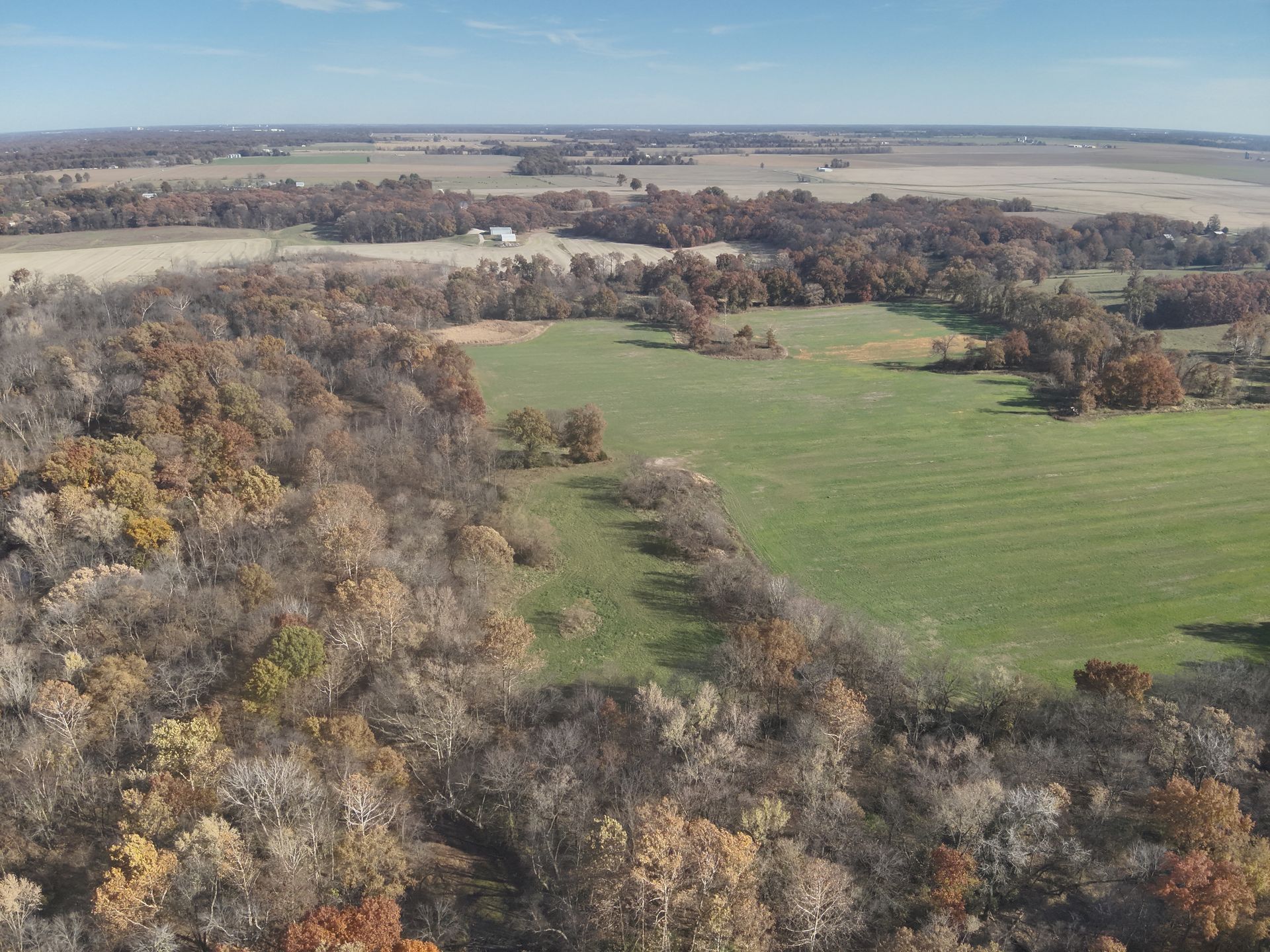 Aerial view of a green field surrounded by trees with autumn foliage under a blue sky.