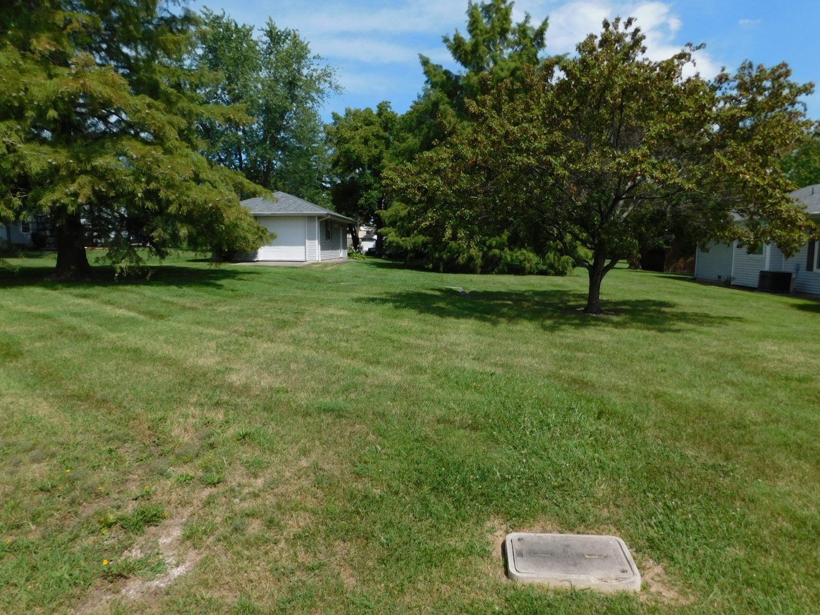 A lush green yard with trees and a house in the background