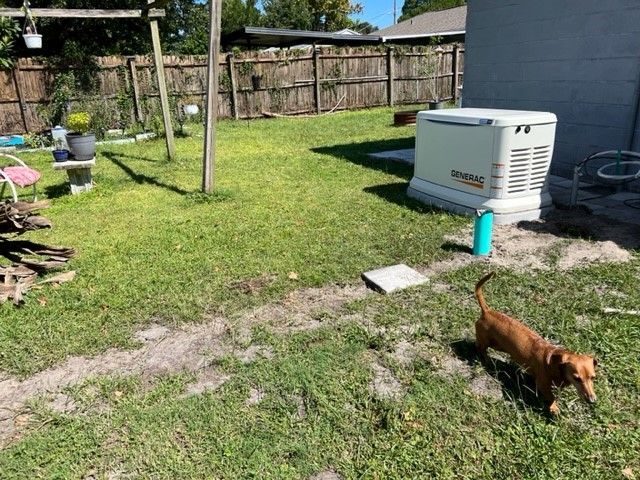 Brown dachshund dog in a grassy backyard with a generator, clothesline, and wooden fence.