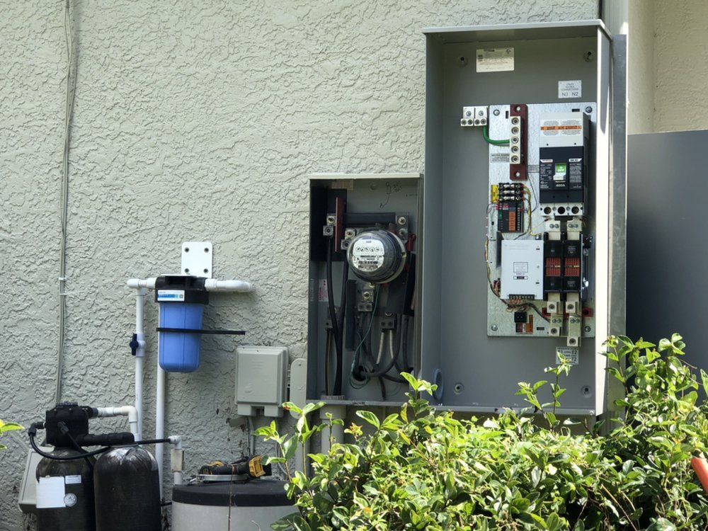 Outdoor electrical panel and meter, water softener and filter on stucco wall, overgrown bushes.