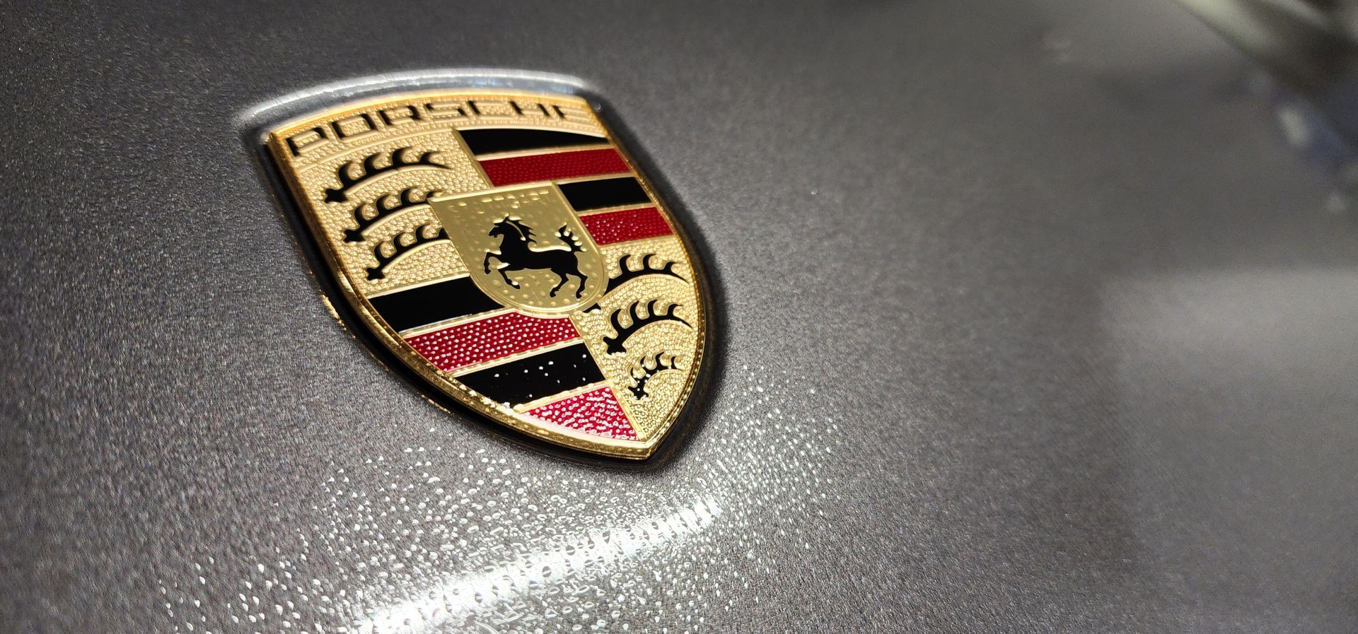 Porsche emblem on a gray car.