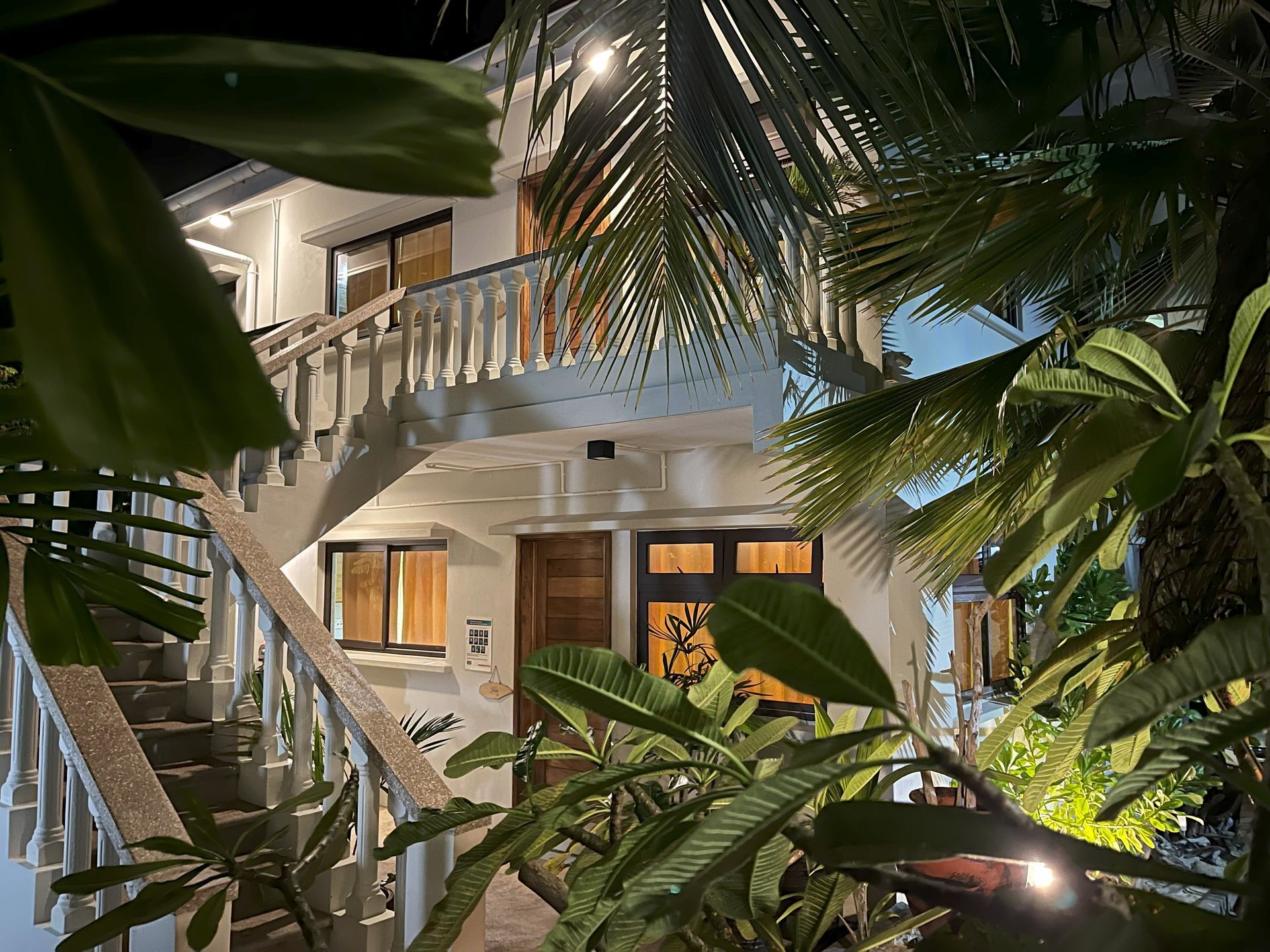 Island Cove at night