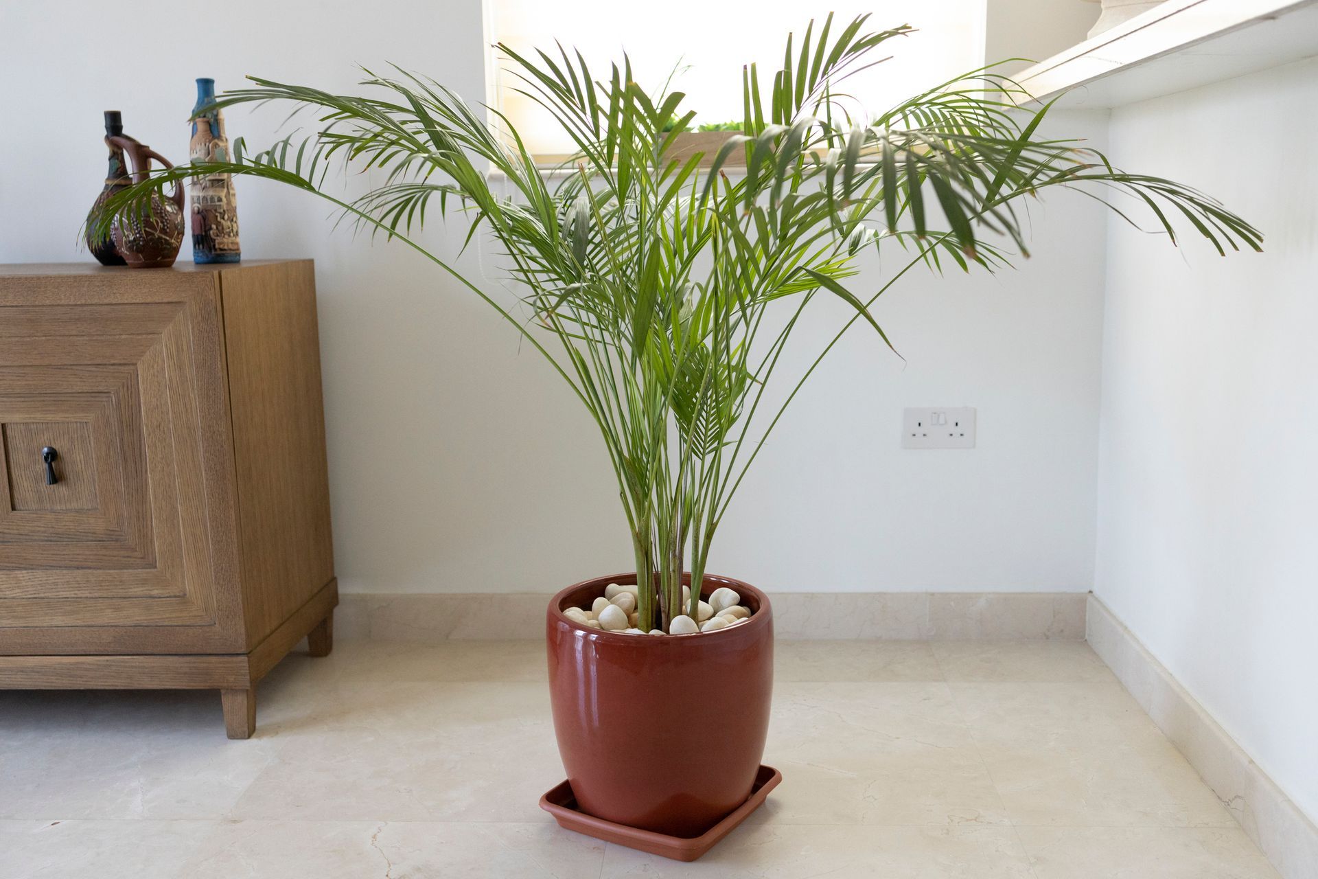 A potted Areca palm plant with pebbles, set in a brown pot, against a white wall.