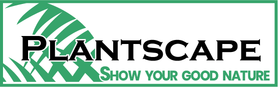 Plantscape