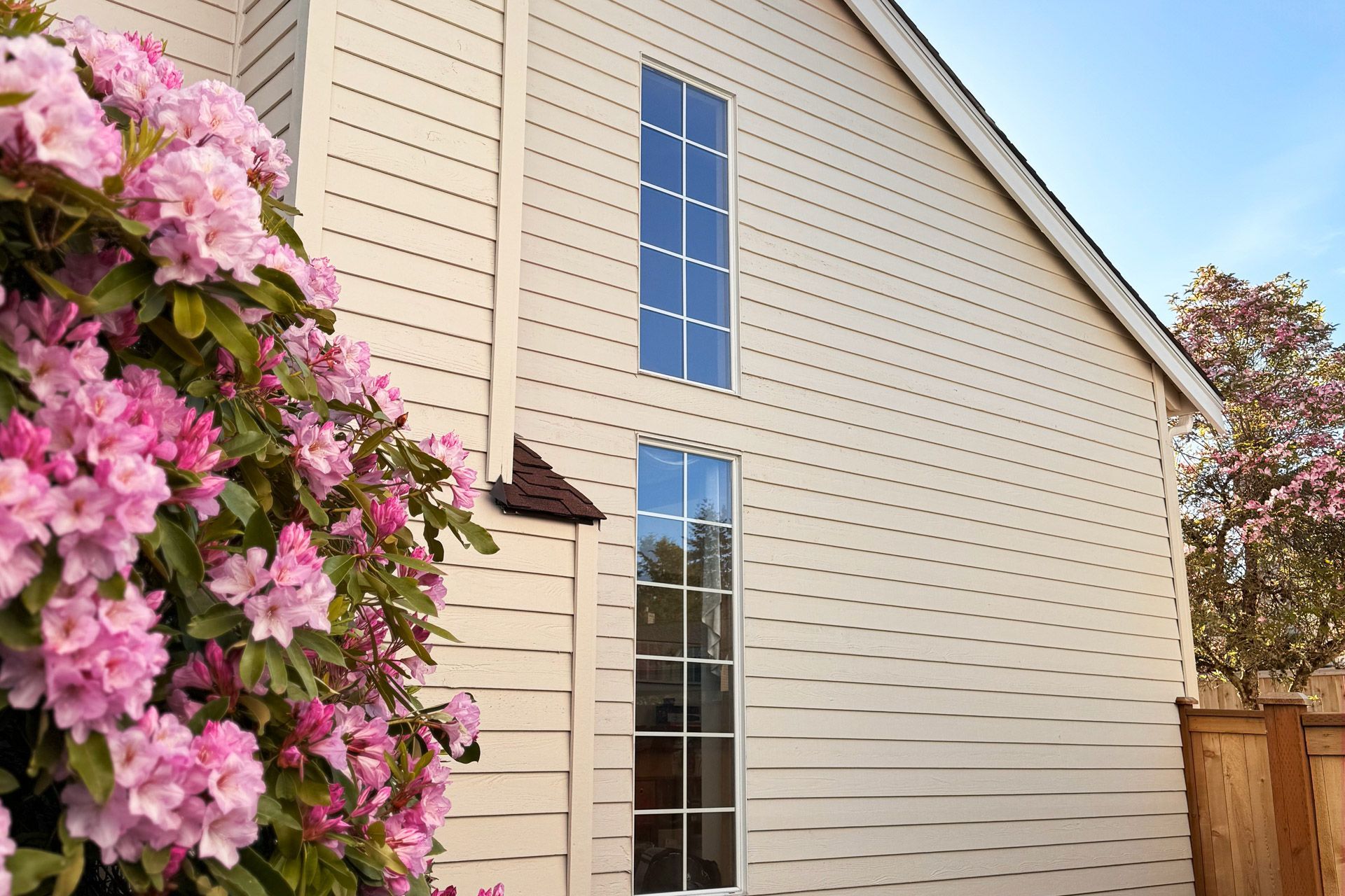 House exterior with tall window, beige siding, pink flowering bush, and wooden fence