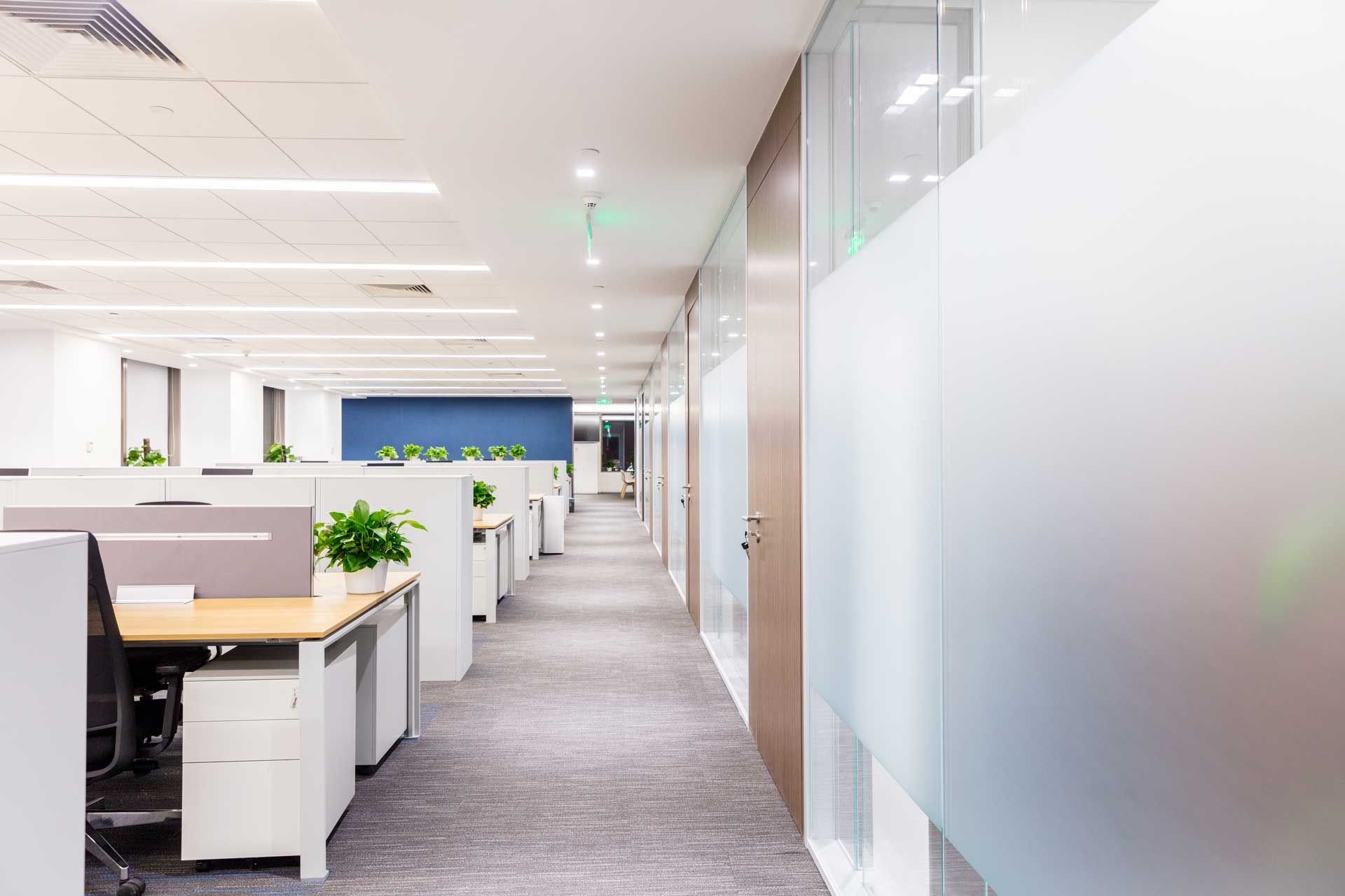 Modern office hallway with cubicles, frosted glass wall, and carpeted floor