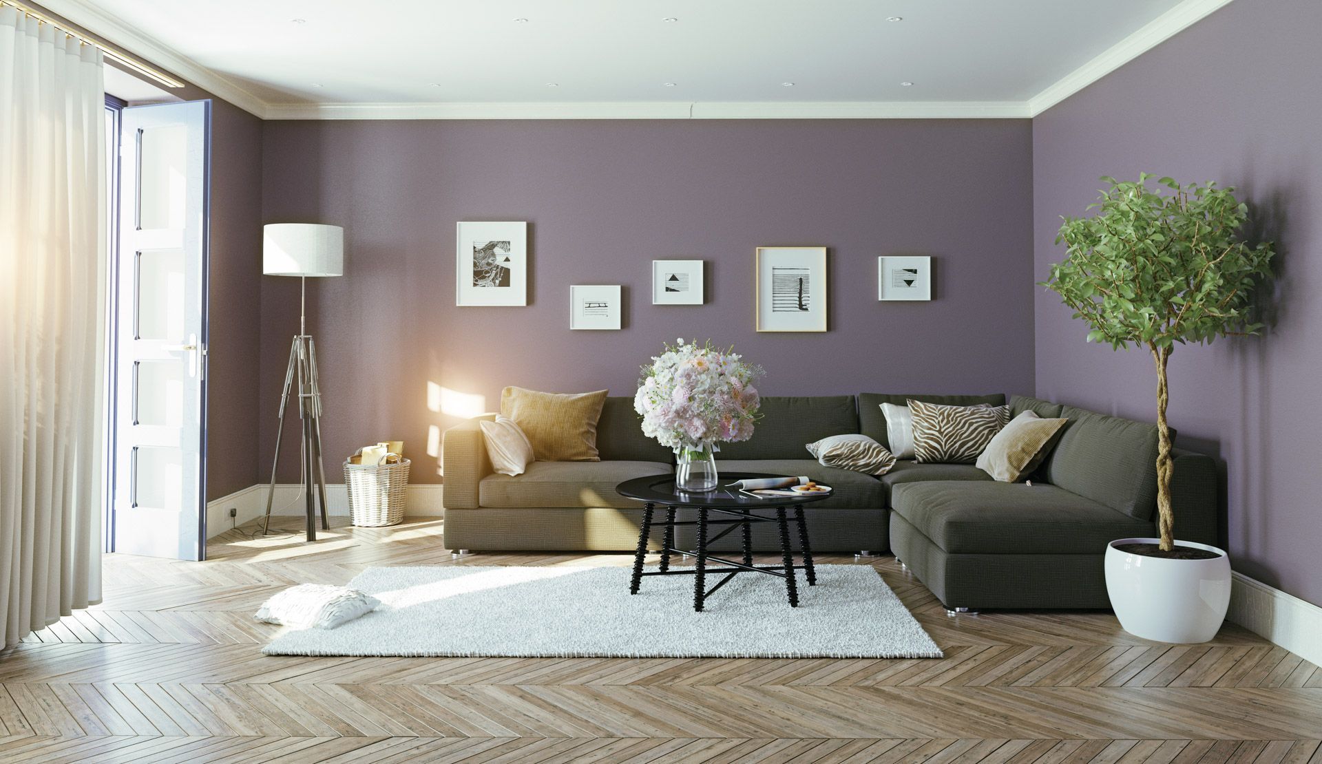 Cozy living room with gray sofa, purple wall, white rug, floor lamp, and potted tree by a bright window