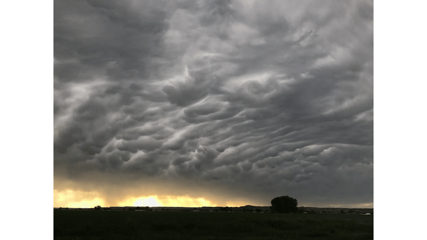 A dark cloudy sky over a field with a tree in the foreground.
