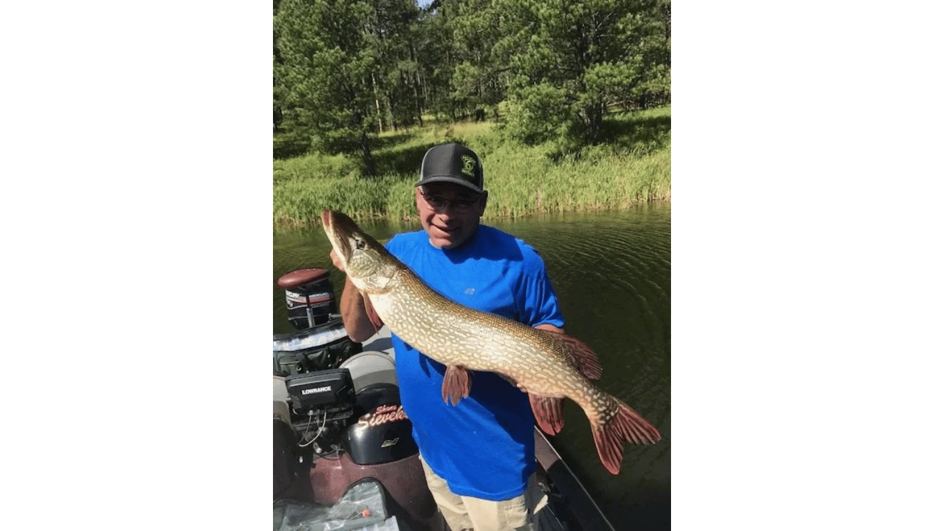A man in a blue shirt is holding a large fish in his hands.