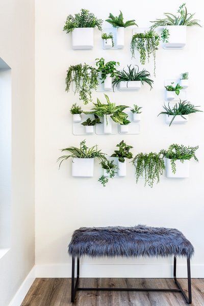 A bench in front of a wall of potted plants