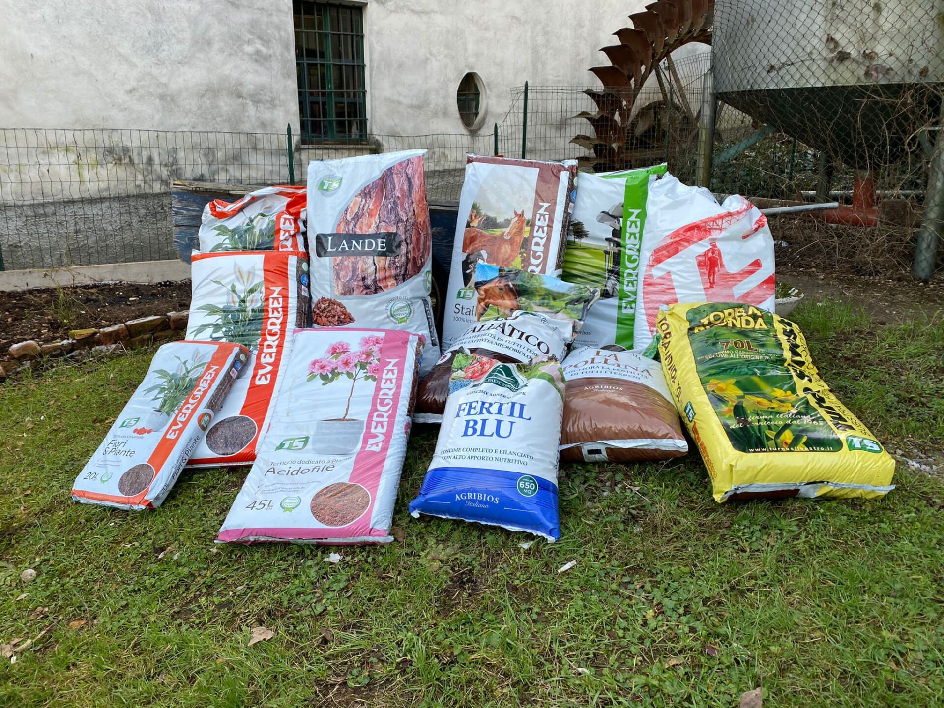 annaffiatura di piante