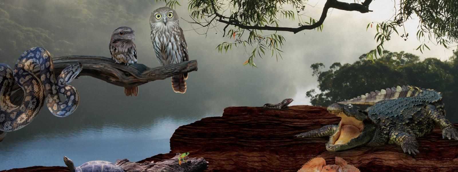 Winter School Holidays Reptile Enclosure | Lilydale Marketplace