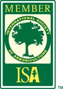 isa member logo