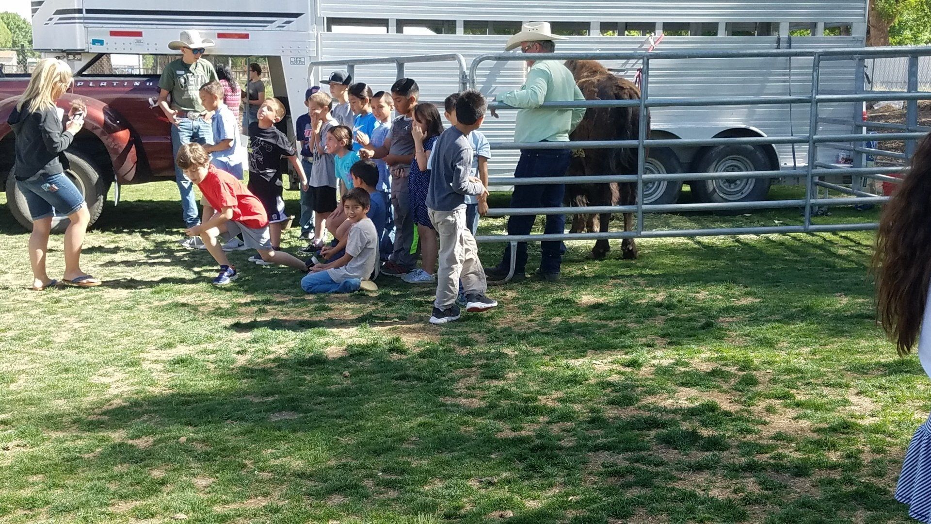 A group of children are standing around a horse trailer