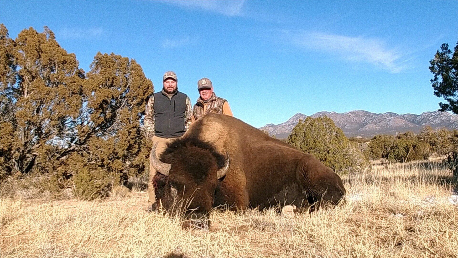 Free range buffalo hunting, Open range buffalo hunting, Lamont Buffalo