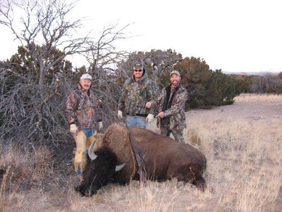 LaMont Bison hunt