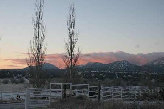 A fence with trees in the foreground and mountains in the background