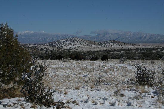 A snowy field with mountains in the background
