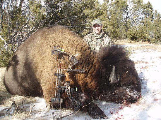 LaMont Buffalo hunting